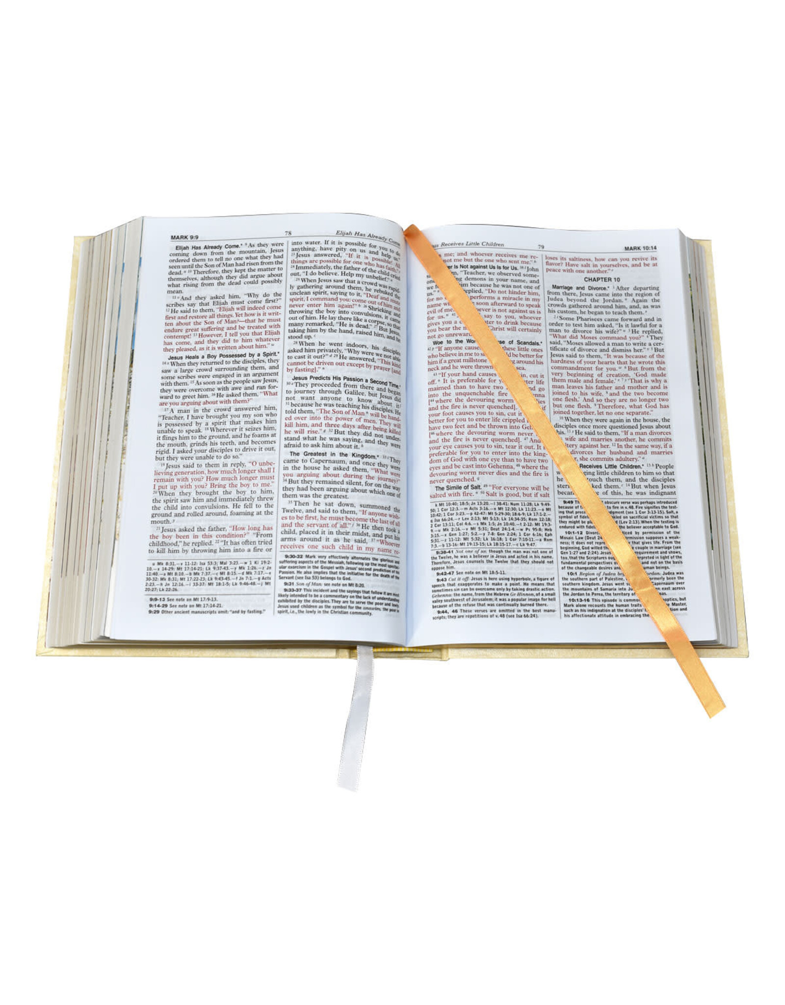 Catholic Book Publishing NCB (New Catholic Bible), Large Type - White