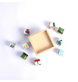 Swanson 6-in-1 Wooden Block Puzzle