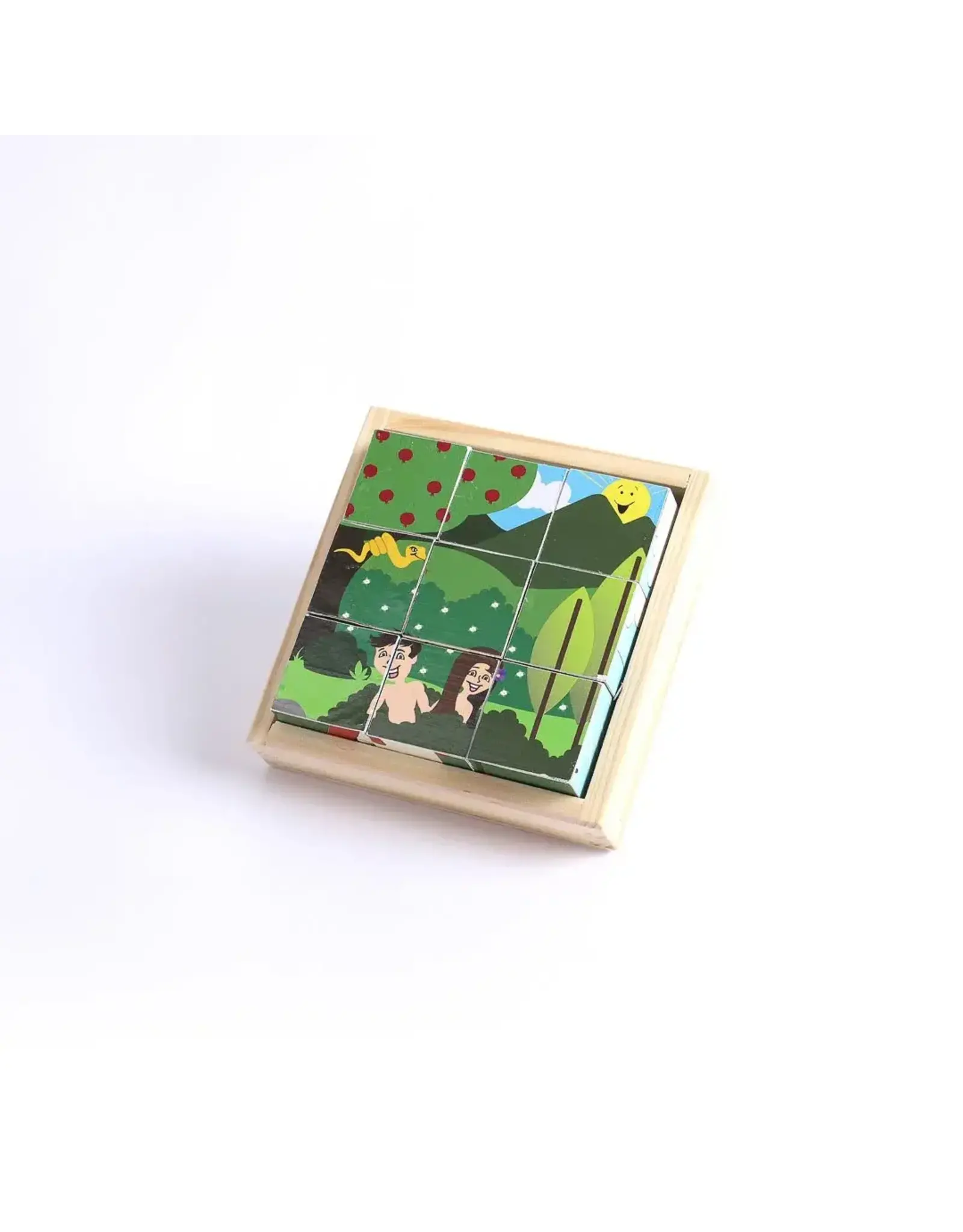 Swanson 6-in-1 Wooden Block Puzzle