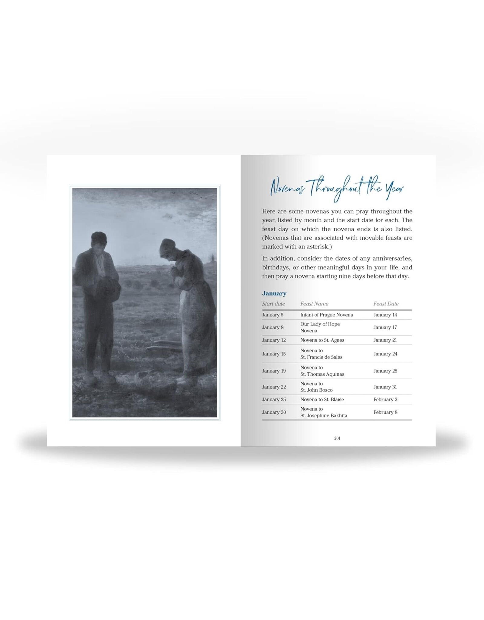 Ascension Press Pocket Guide to Novenas