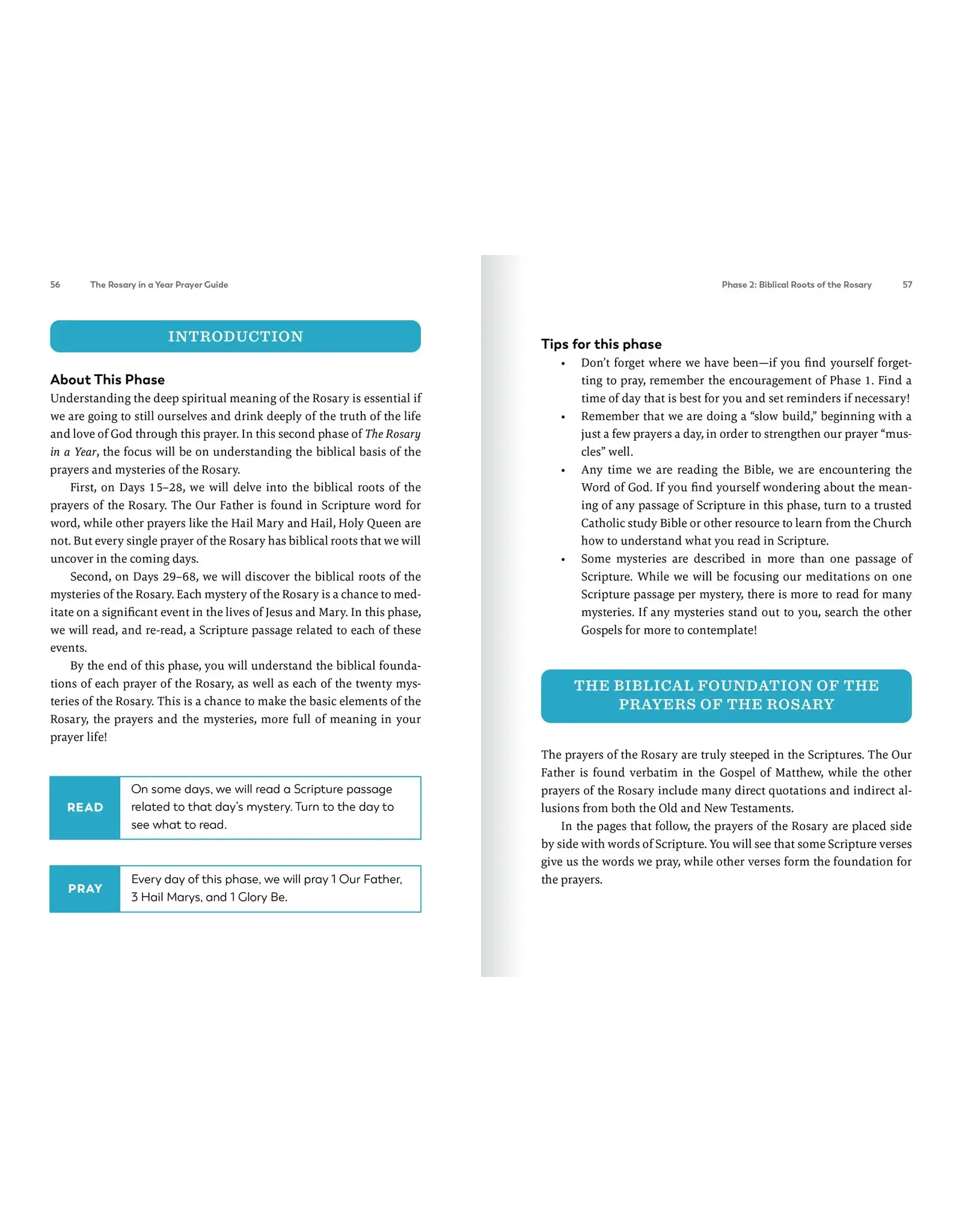 Ascension Press Rosary in a Year Prayer Guide