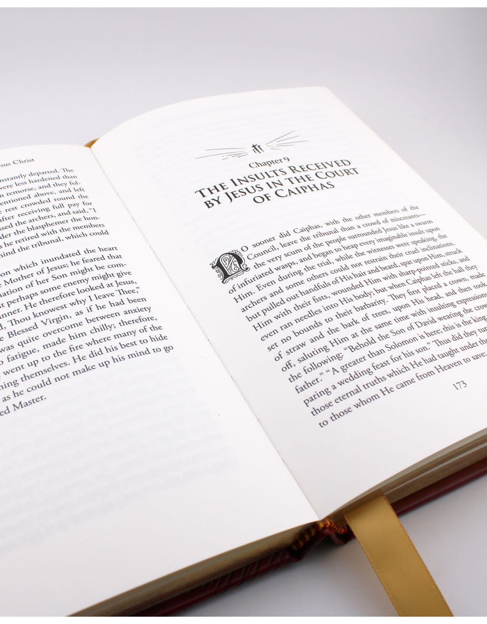 Tan Books (St. Benedict Press) Dolorous Passion of Our Lord Jesus Christ: From the Visions of Blessed Anne Catherine Emmerich