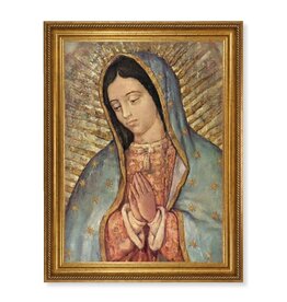 Hirten Our Lady of Guadalupe (Bust) Picture - Textured Framed Art (23.5" x 31")