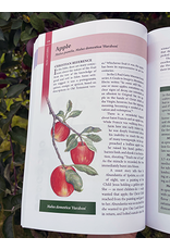 OSV (Our Sunday Visitor) A Garden Catechism