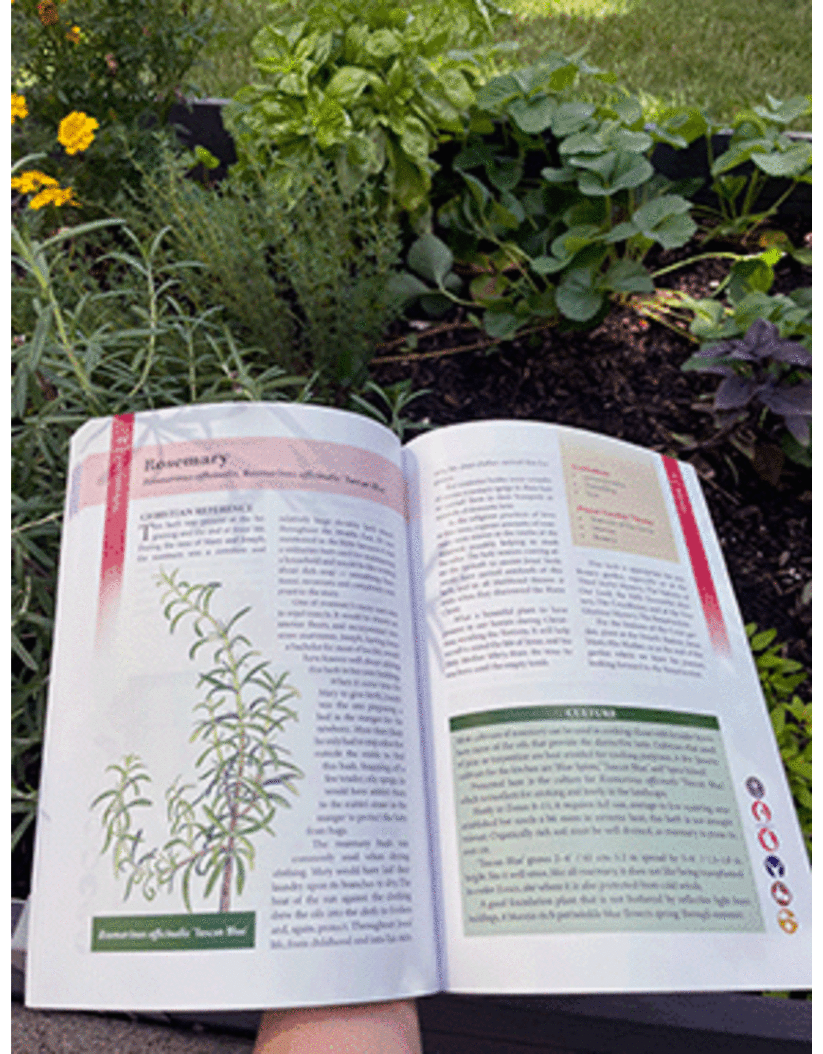 OSV (Our Sunday Visitor) A Garden Catechism