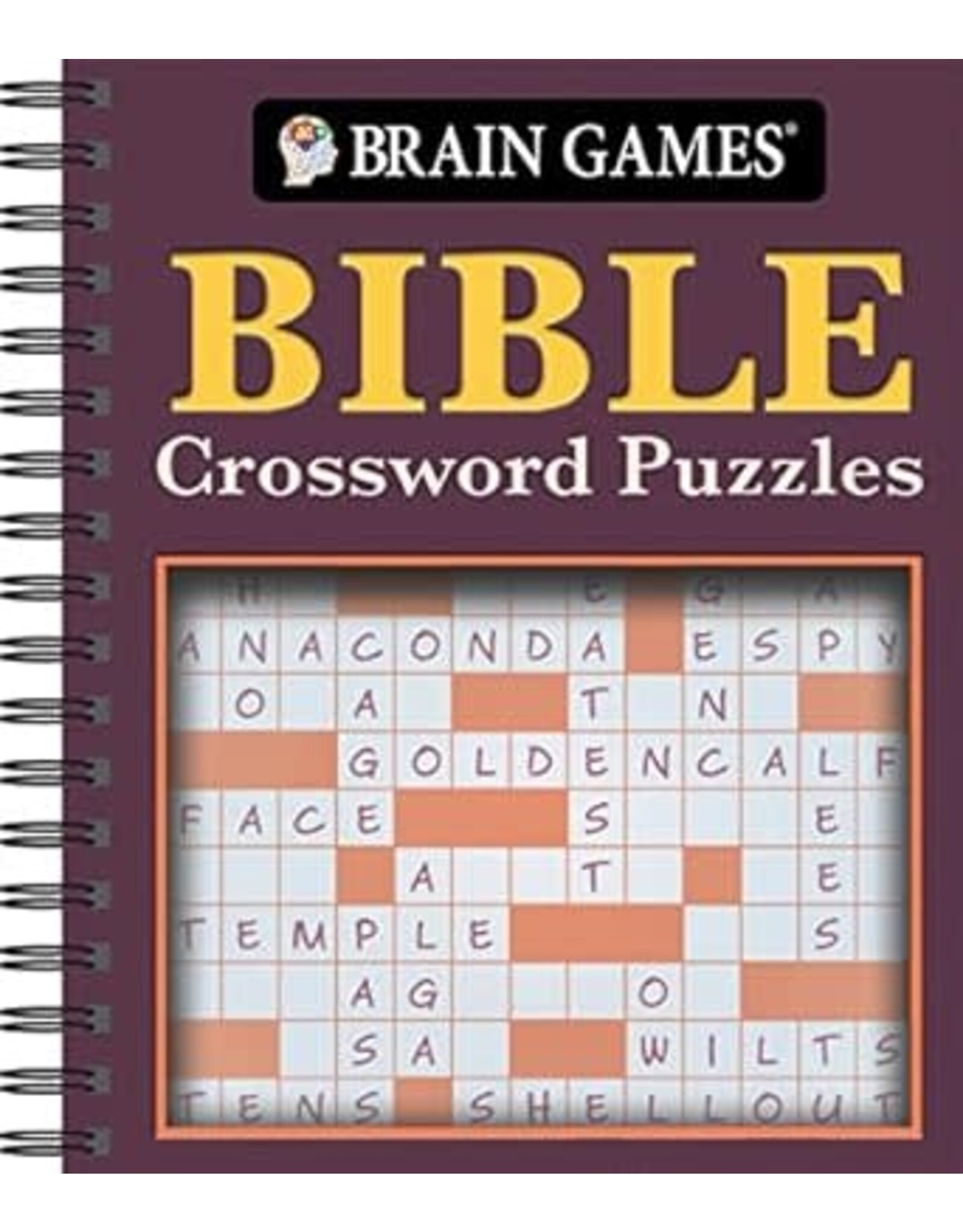 Publications International Bible Crossword Puzzles