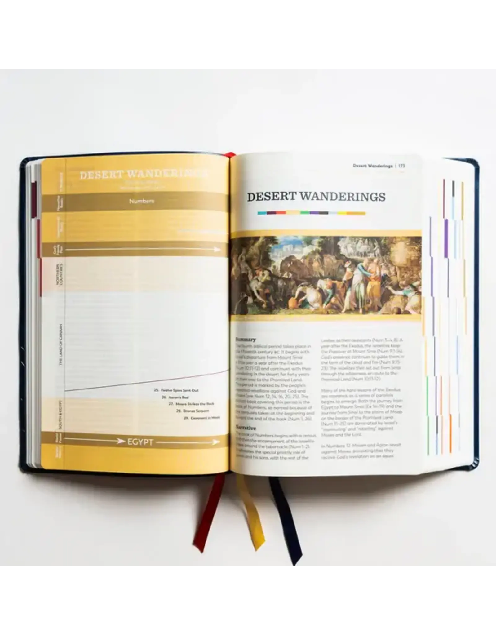 Ascension Press Great Adventure Catholic Bible - Large Print (SECOND EDITION)