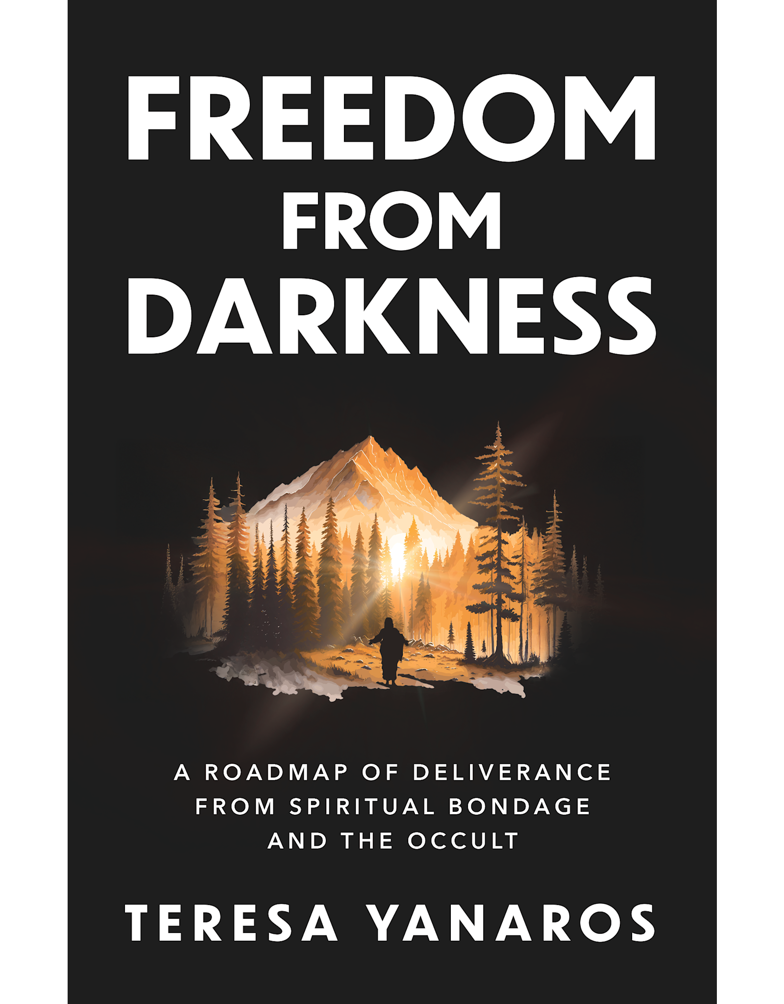 Sophia Institue Press Freedom From Darkness