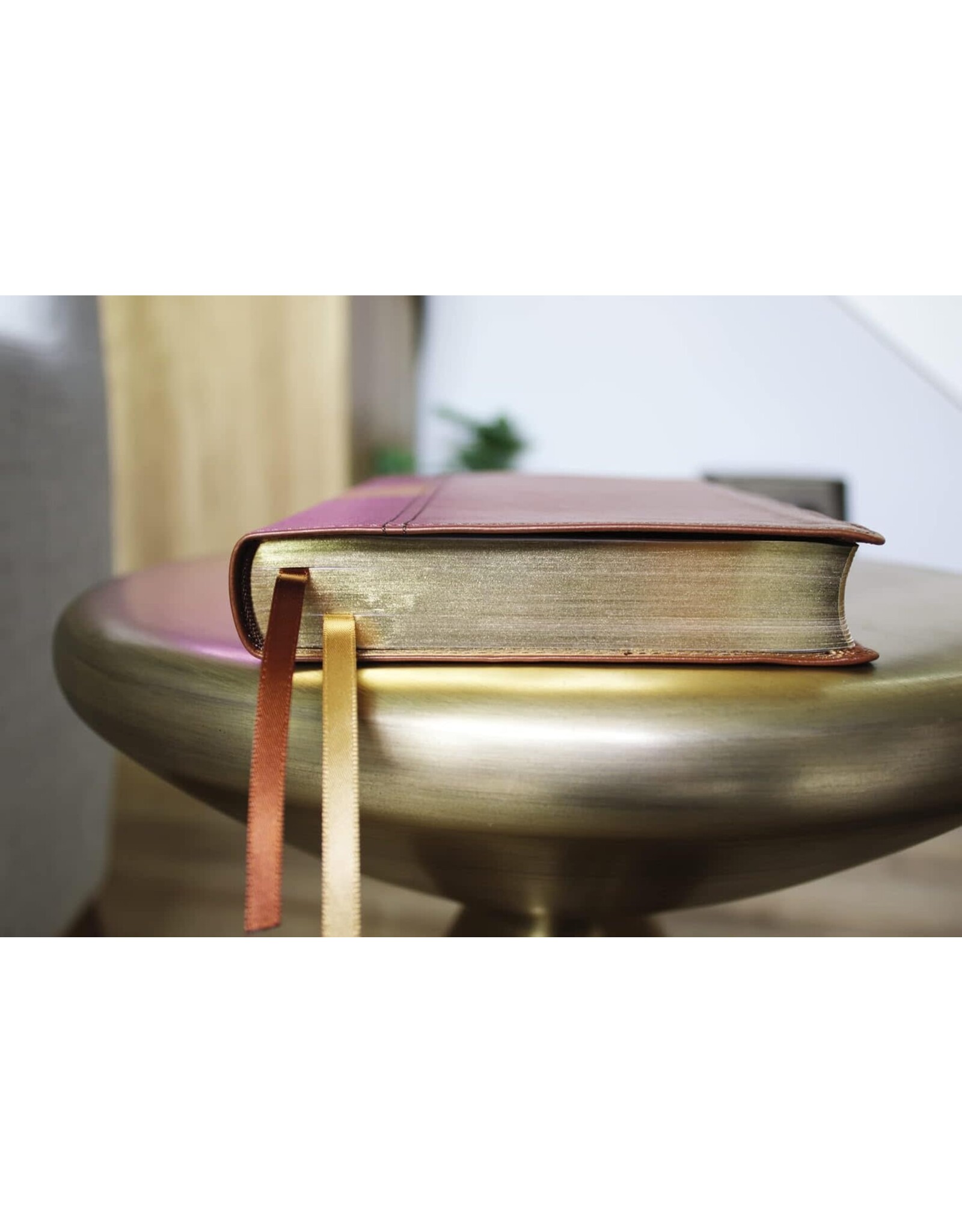 Zondervan NIV Thinline Reference Bible, Leathersoft, Brown, Red Letter, Comfort Print, Thumb Indexed