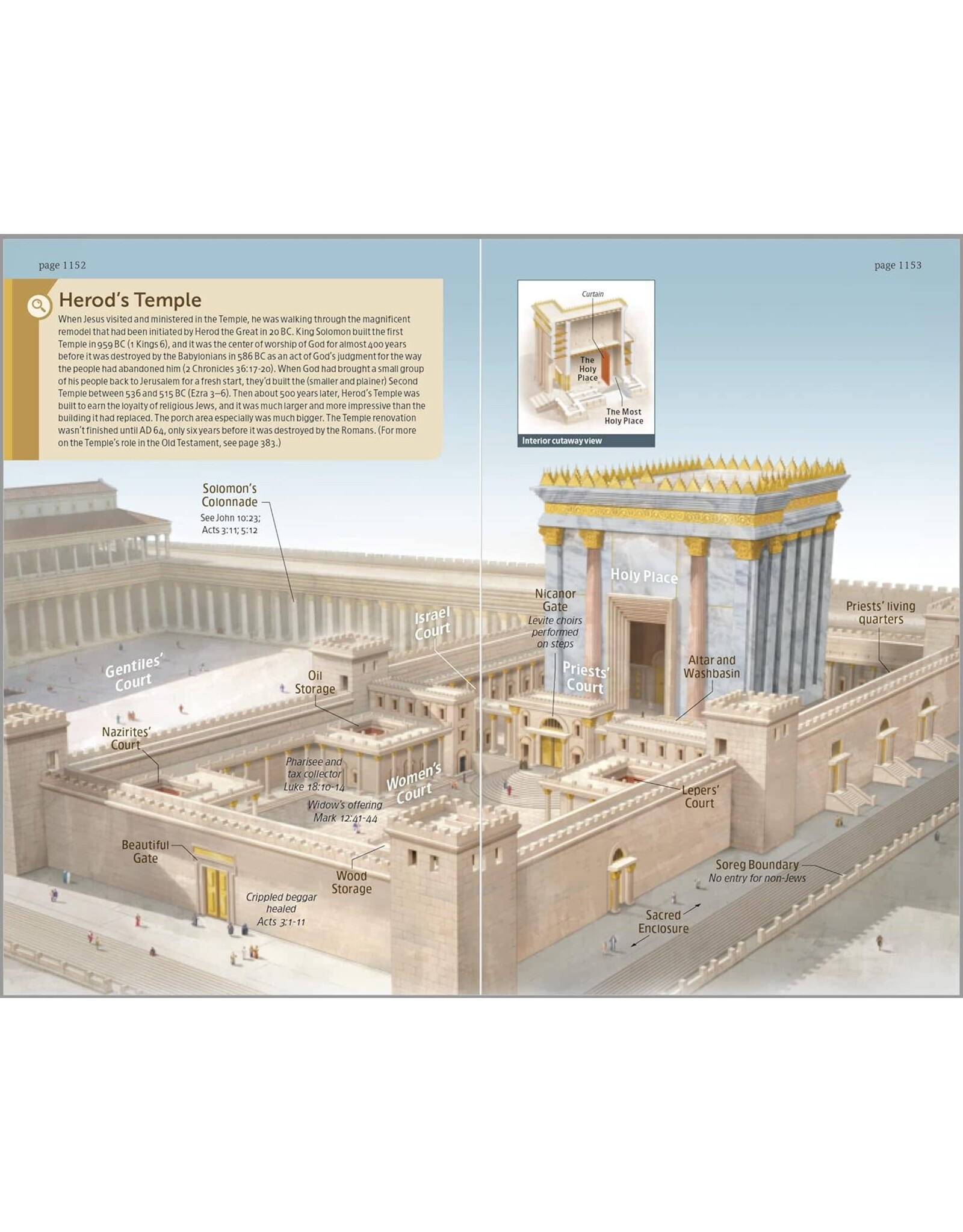 Tyndale NLT Student Life Application Study Bible, Leatherlike, Teal, Indexed, Red Letter