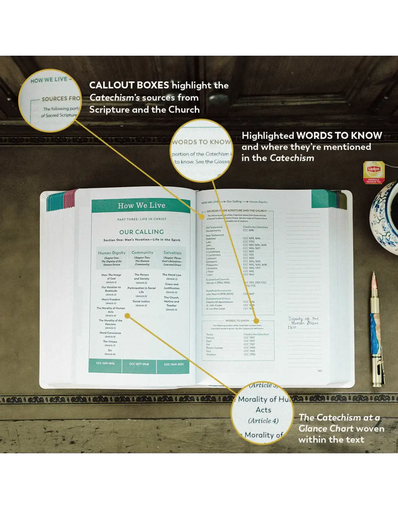 Ascension Press Catechism of the Catholic Church, Notetaking (Ascension Press)
