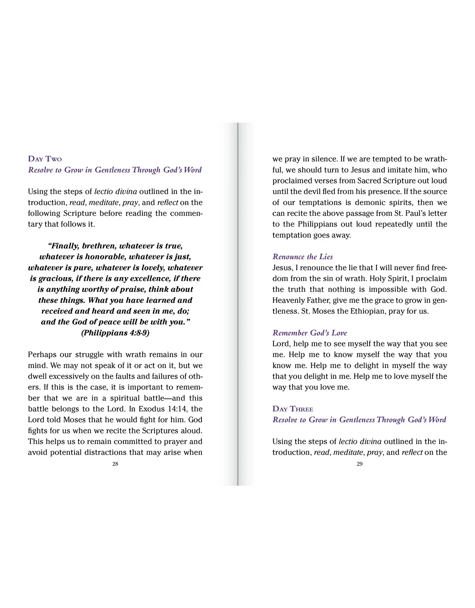 Ascension Press Pocket Guide to Overcoming the Seven Deadly Sins