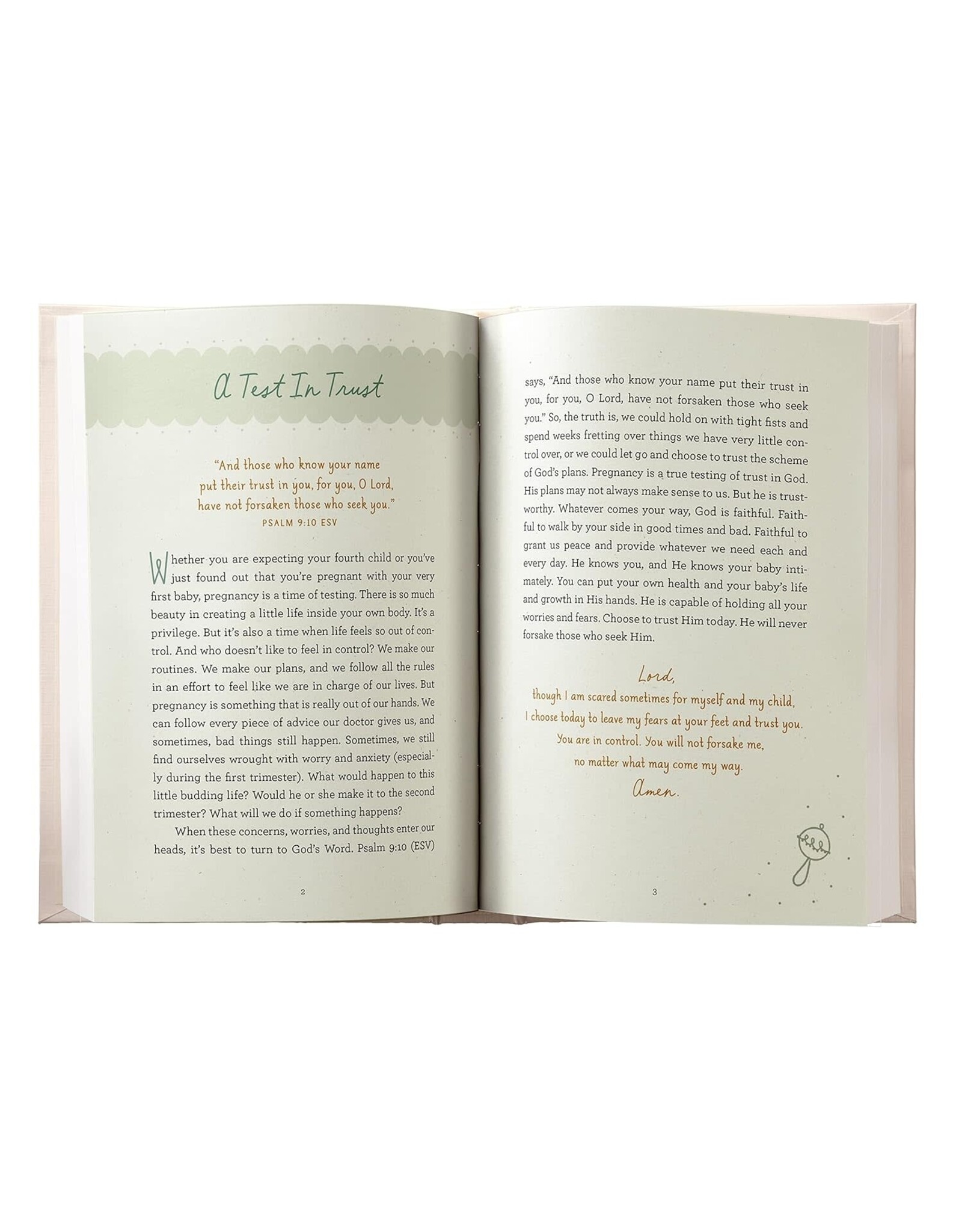 Dayspring Miracle in the Making: Devotional for Expectant Moms