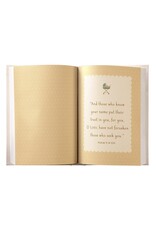 Dayspring Miracle in the Making: Devotional for Expectant Moms