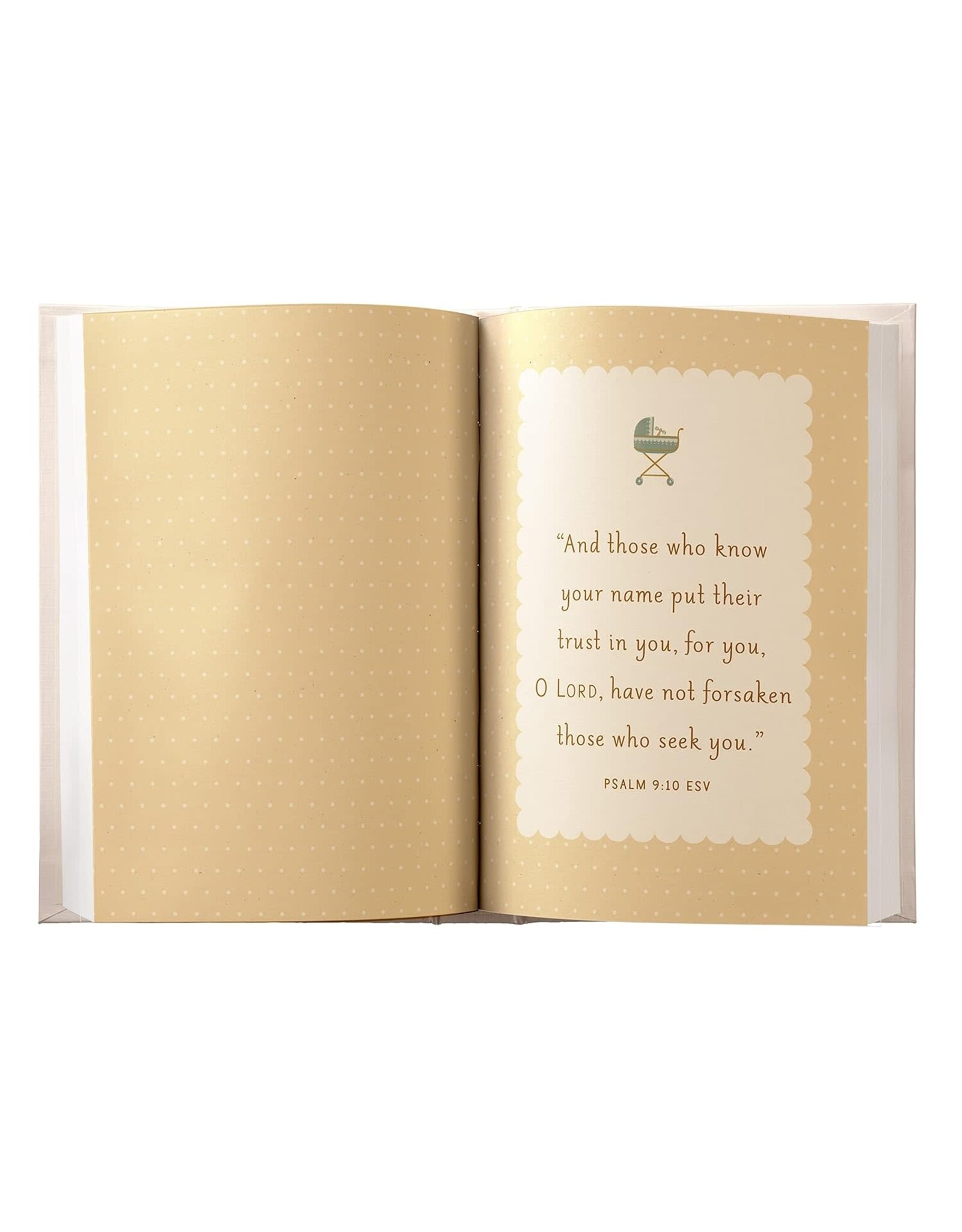 Dayspring Miracle in the Making: Devotional for Expectant Moms