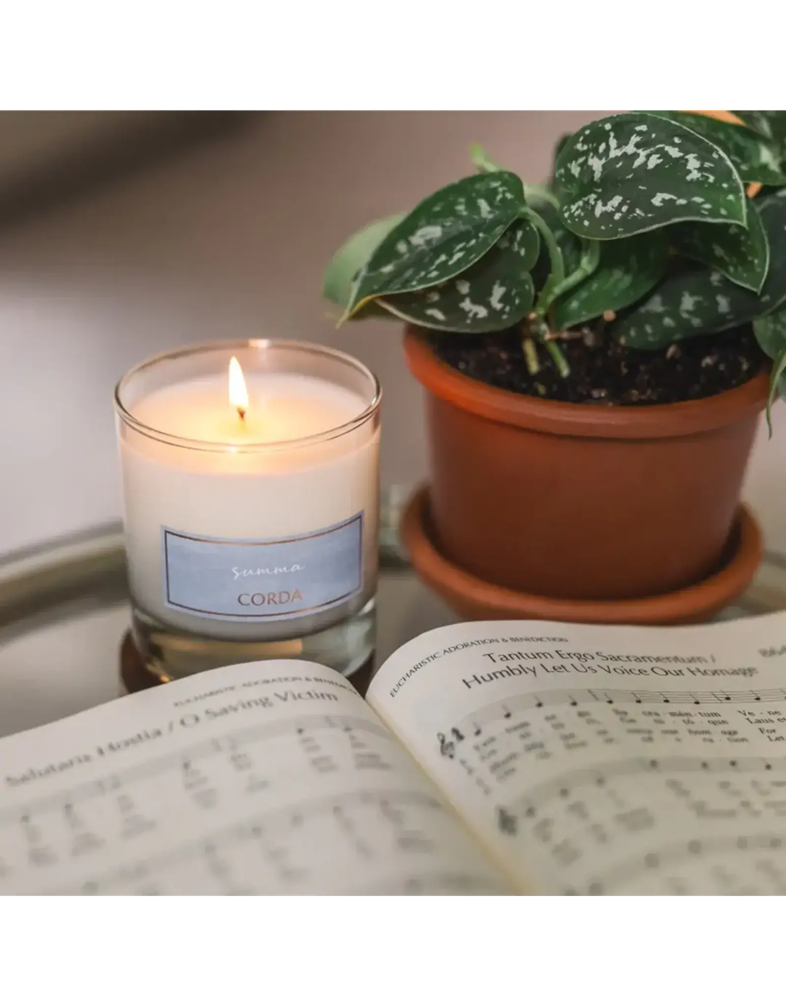 Corda Corda Candle - Summa- St. Thomas Aquinas