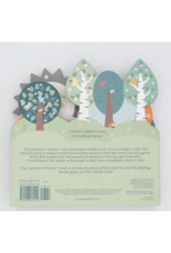 Shining Light The Canticle of the Sun: St. Francis of Assisi