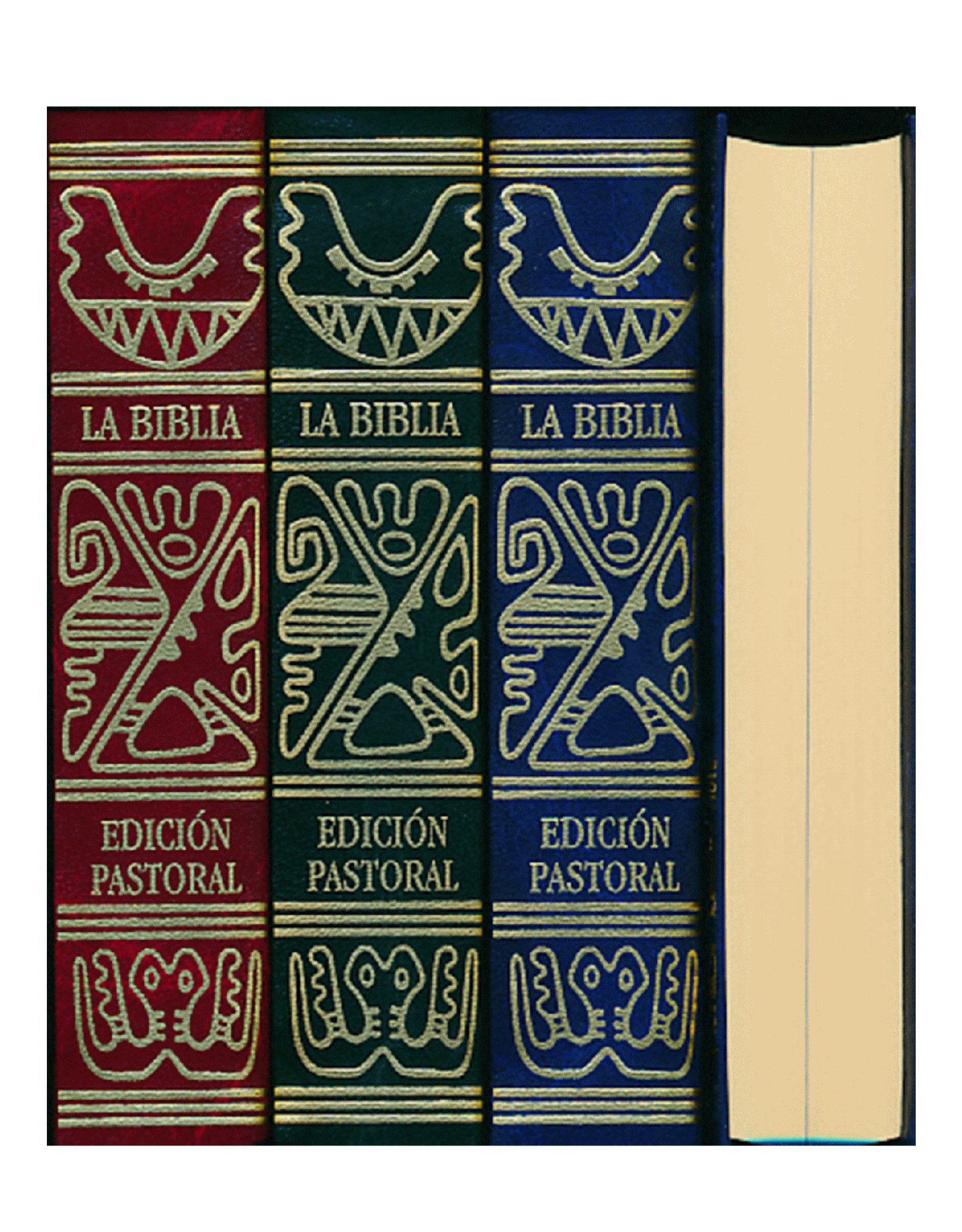 Ministerio Biblico Verbo Divino La Biblia Latinoamerica Bolsillo Hardcover