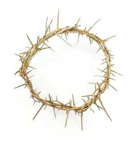 Logos Crown of Thorns - Boxed, 9"