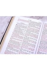 Tan Books (St. Benedict Press) Douay-Rheims Bible (Large Print, Imitation Leather)