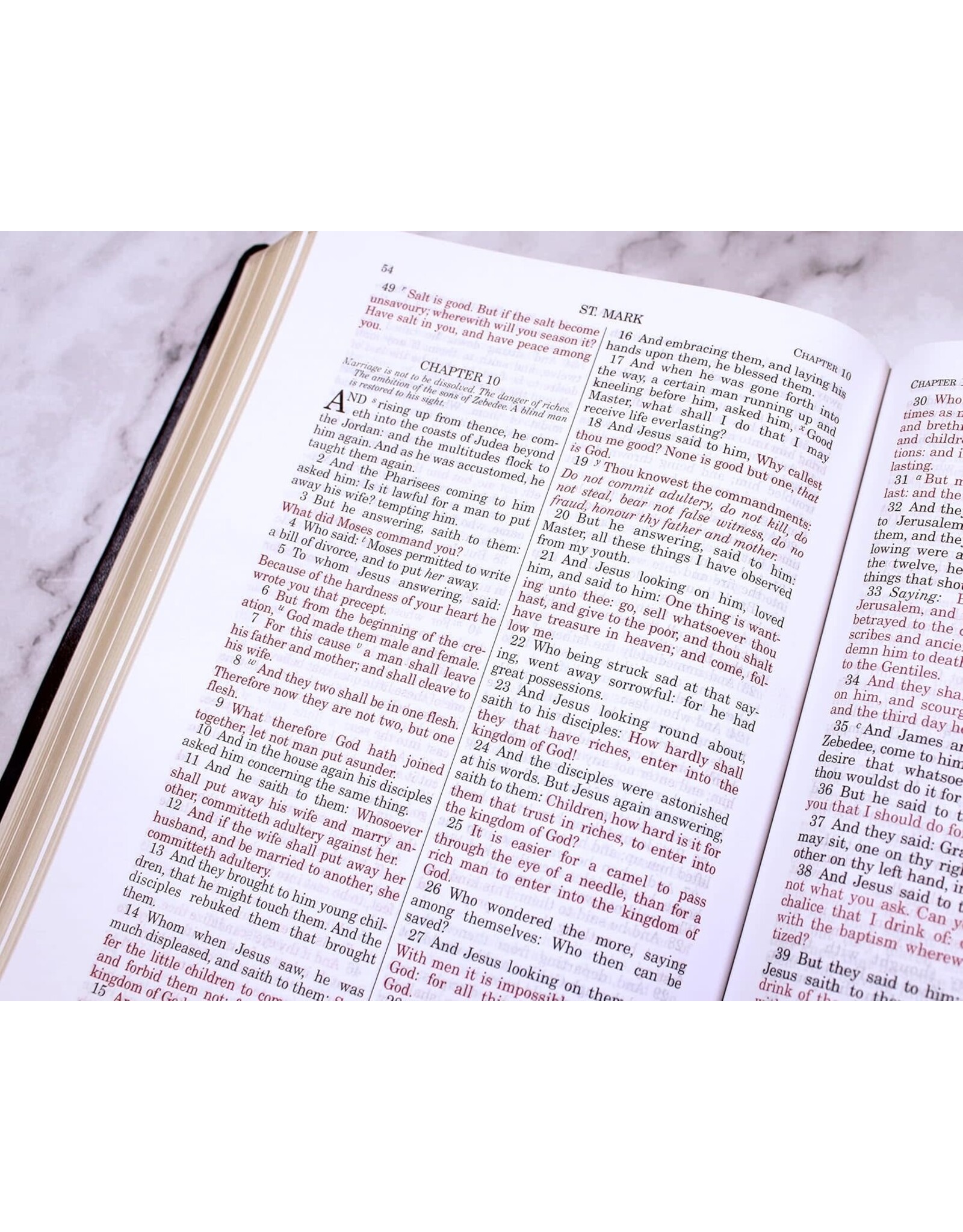 Tan Books (St. Benedict Press) Douay-Rheims Bible (Large Print, Imitation Leather)