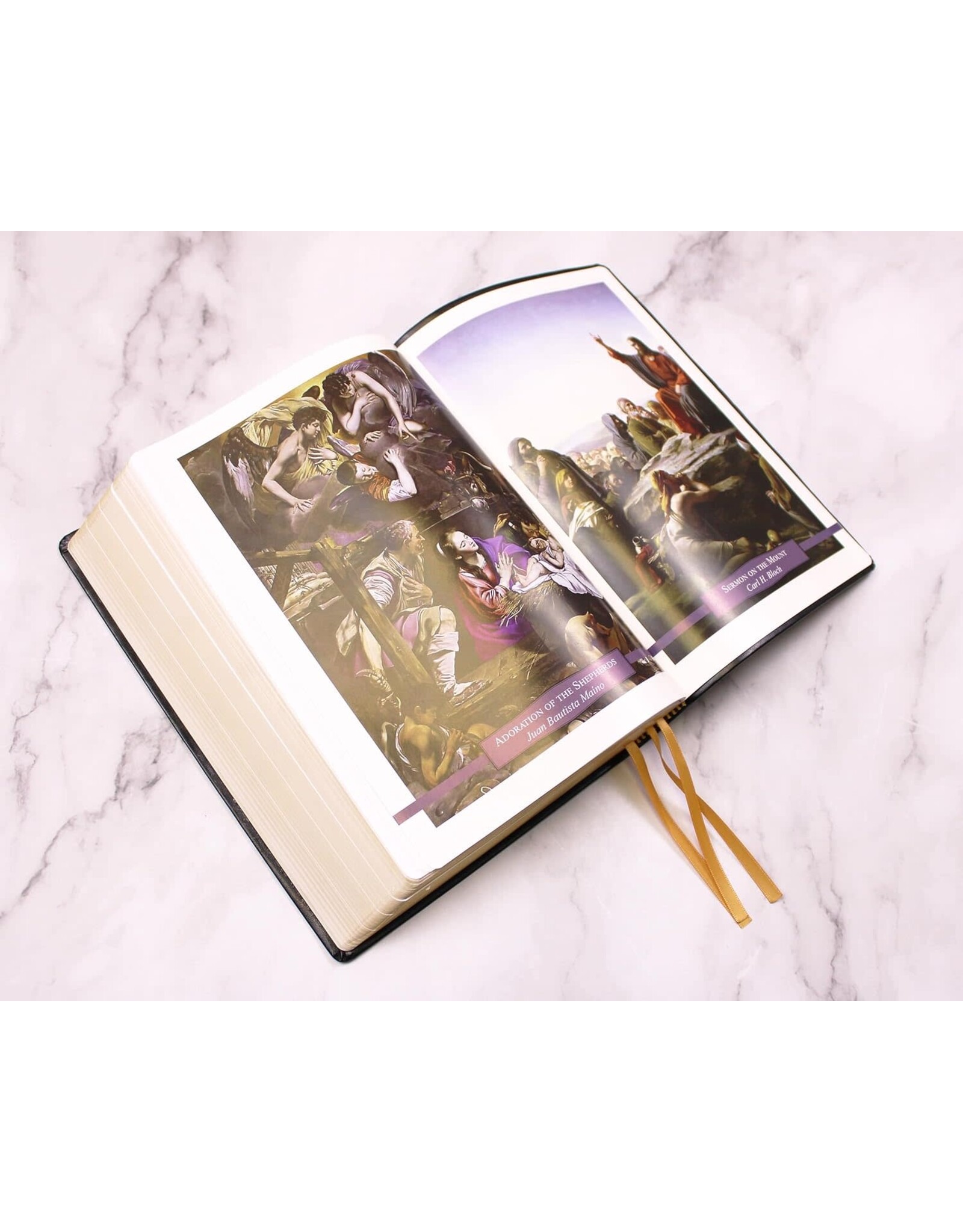 Tan Books (St. Benedict Press) Douay-Rheims Bible (Large Print, Imitation Leather)