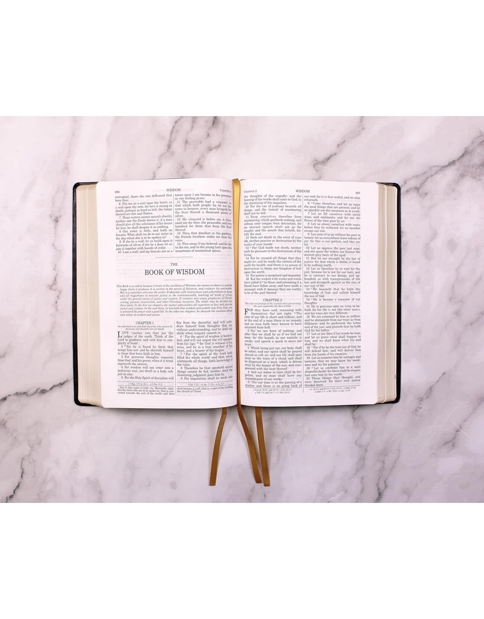 Tan Books (St. Benedict Press) Douay-Rheims Bible (Large Print, Imitation Leather)