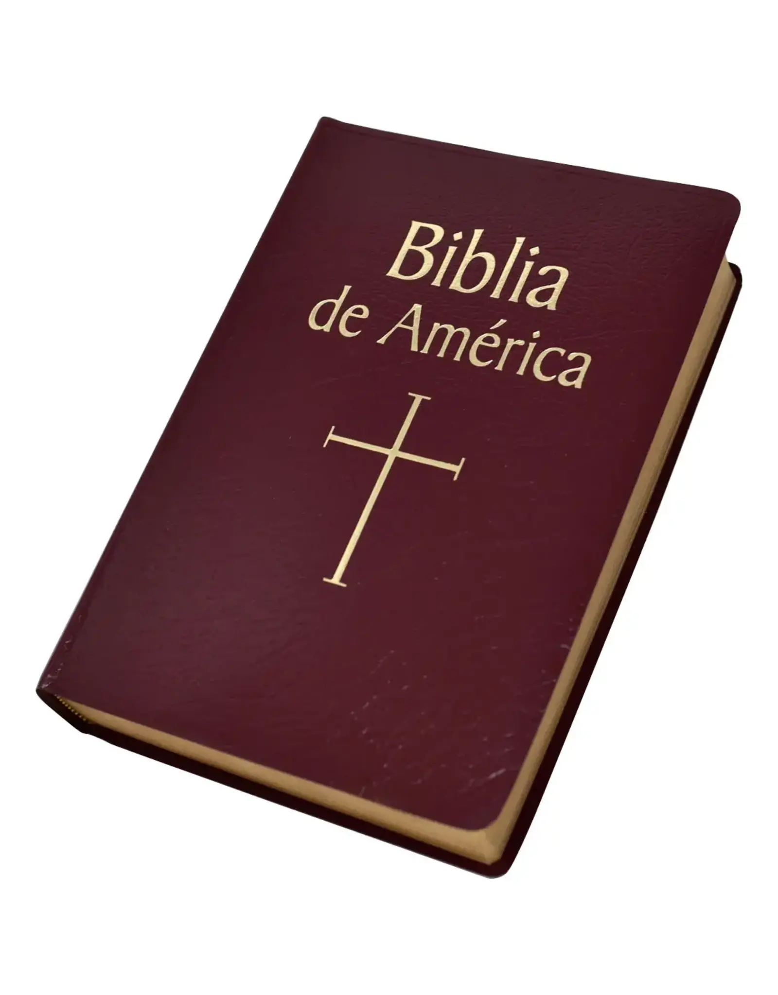 Catholic Book Publishing Biblia de America