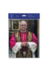 Hirten Print - Pope Leo XIV 8"x10"