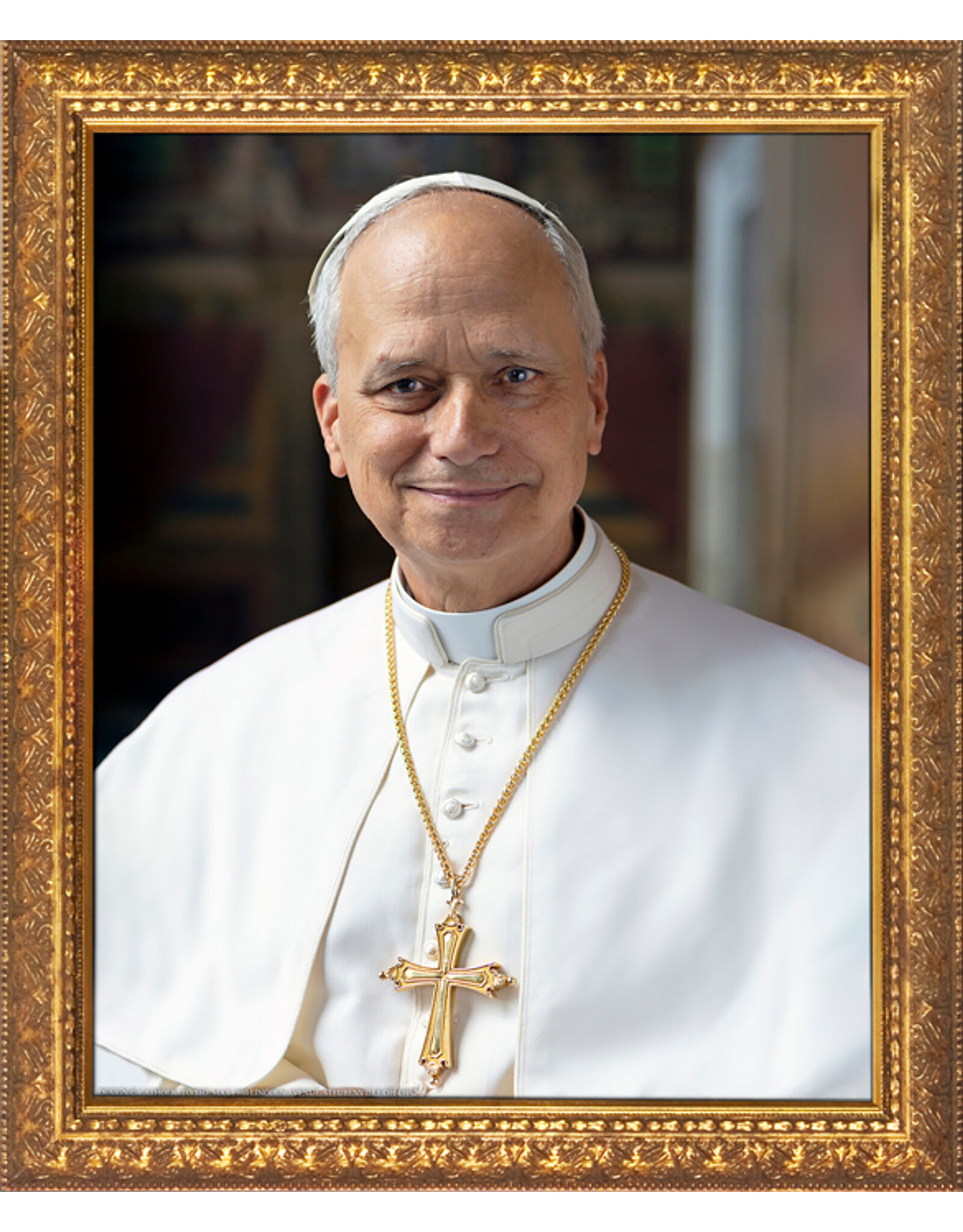 Nelson Art Pope Leo XIV Official Portrait Gold Framed Art Picture