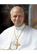 Nelson Art Print - Pope Leo XIV Official Portrait