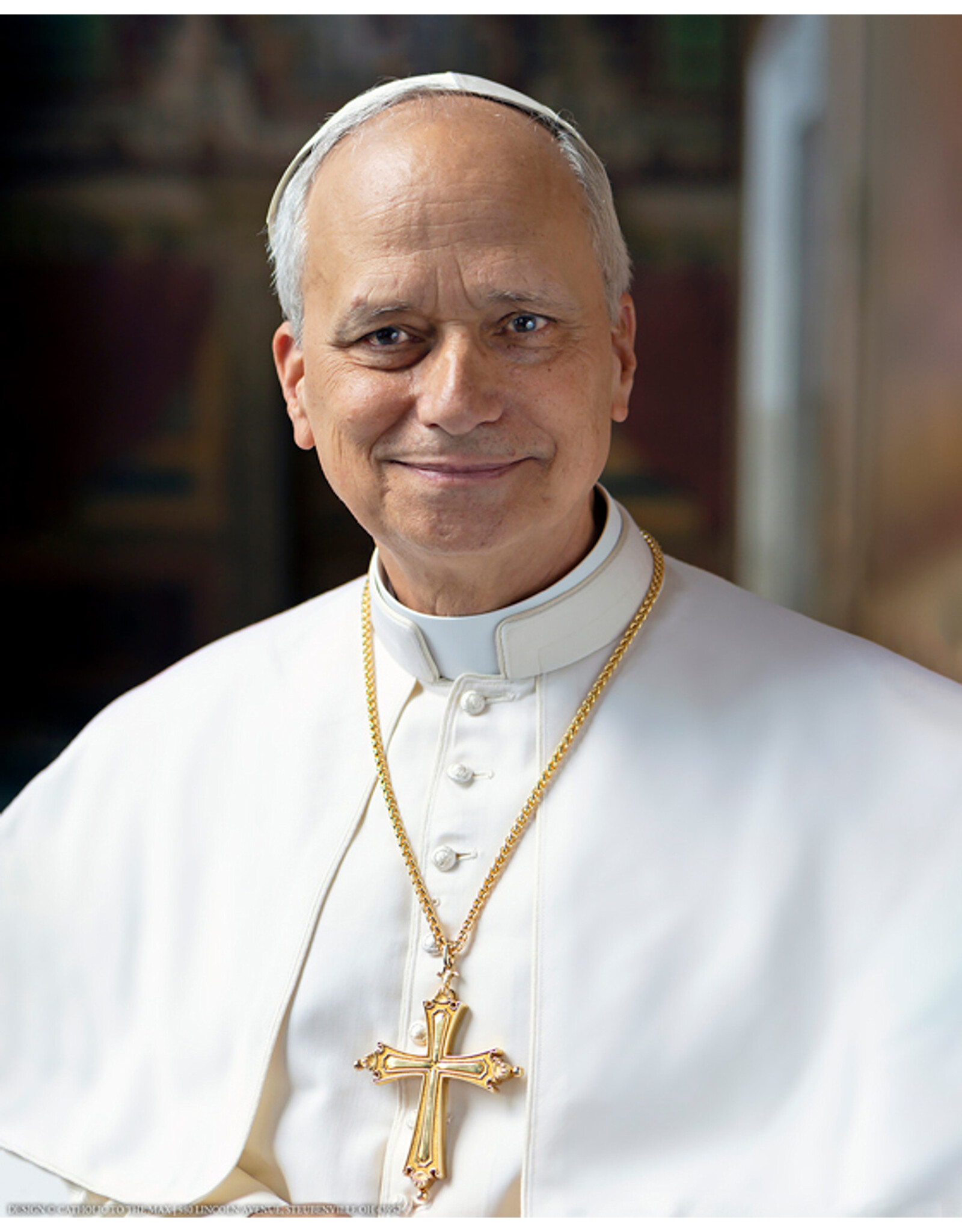 Nelson Art Print - Pope Leo XIV Official Portrait