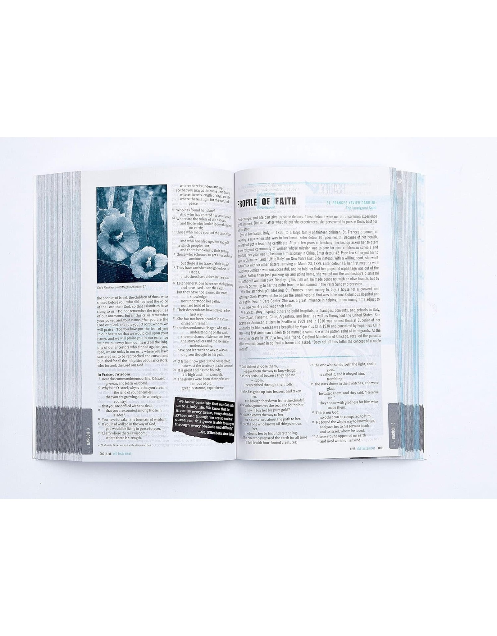 Catholic Bible Press NRSV Youth Catholic Bible "Live"