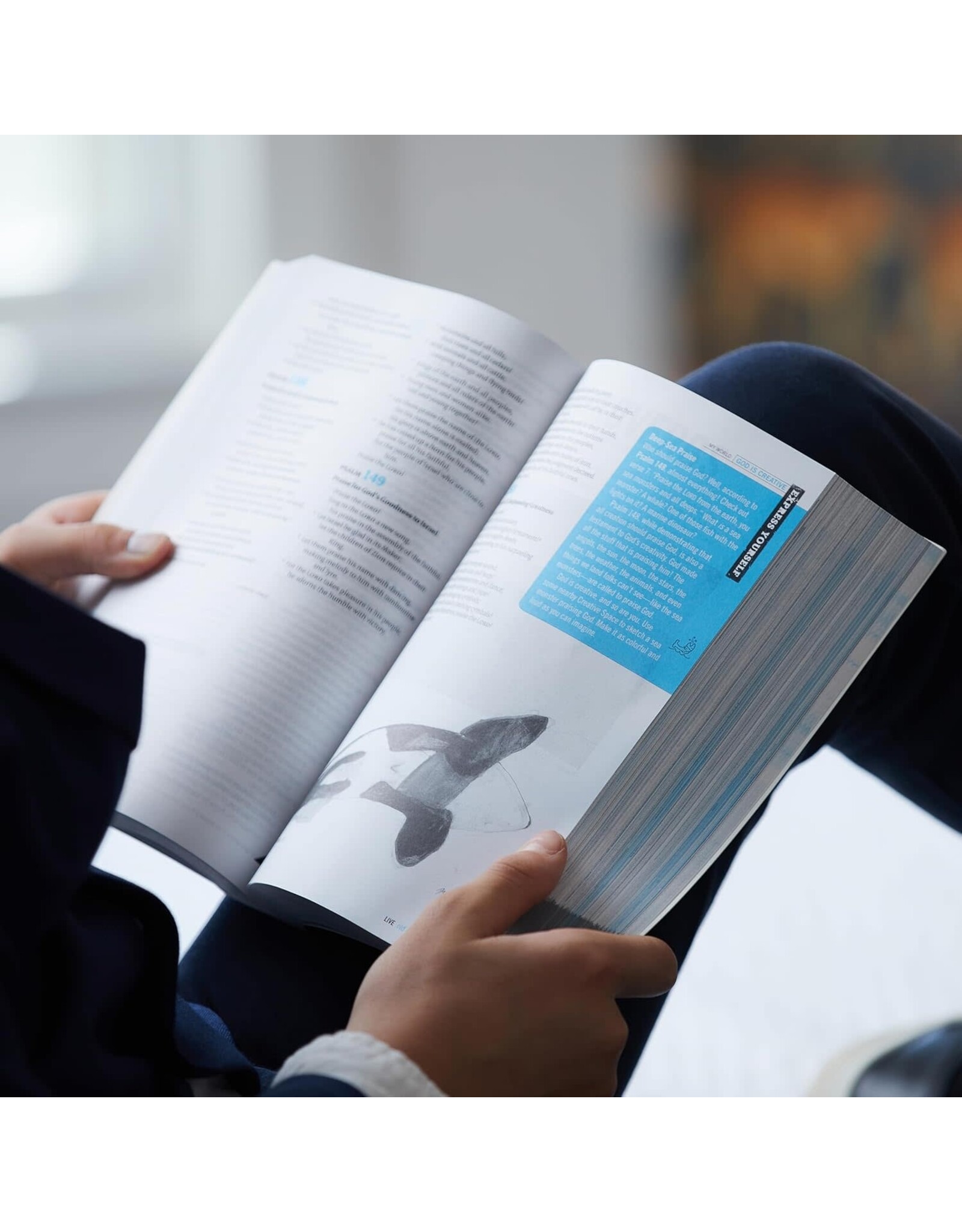 Catholic Bible Press NRSV Youth Catholic Bible "Live"