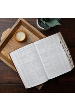 Catholic Bible Press NABRE Large-Print Catholic Bible, Leather-Look Brown, Thumb Indexed