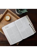 Catholic Bible Press NABRE Large-Print Catholic Bible, Leather-Look Brown, Thumb Indexed