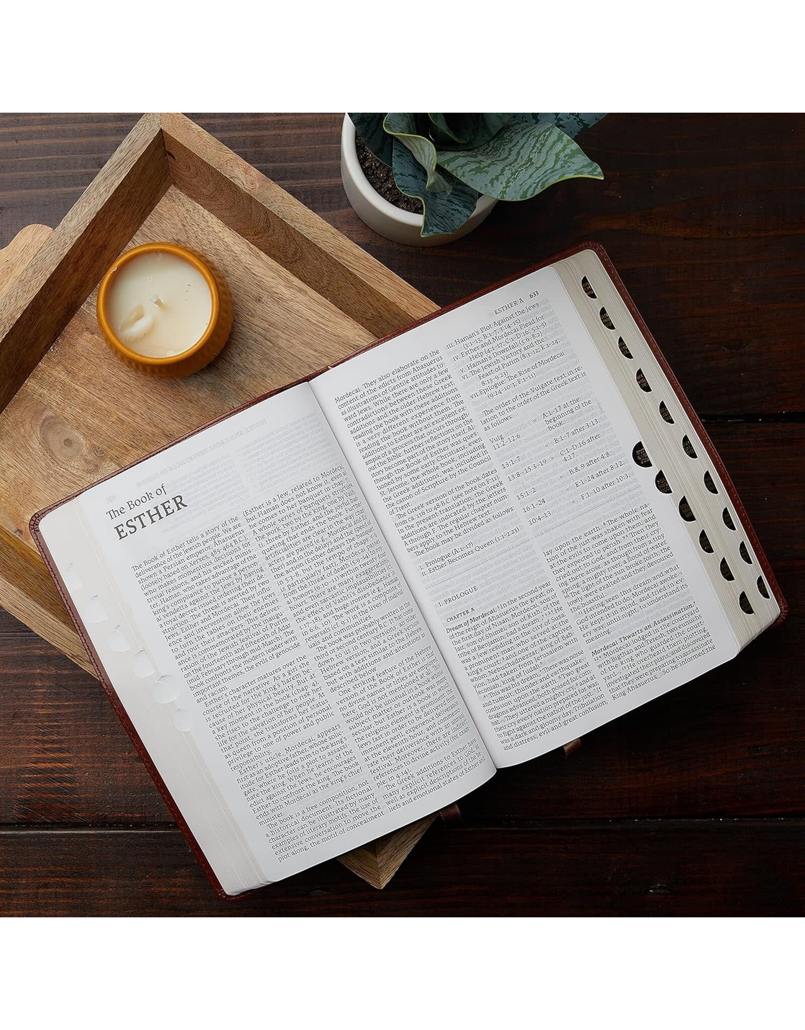 Catholic Bible Press NABRE Large-Print Catholic Bible, Leather-Look Brown, Thumb Indexed