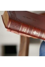 Catholic Bible Press NABRE Large-Print Catholic Bible, Leather-Look Brown, Thumb Indexed