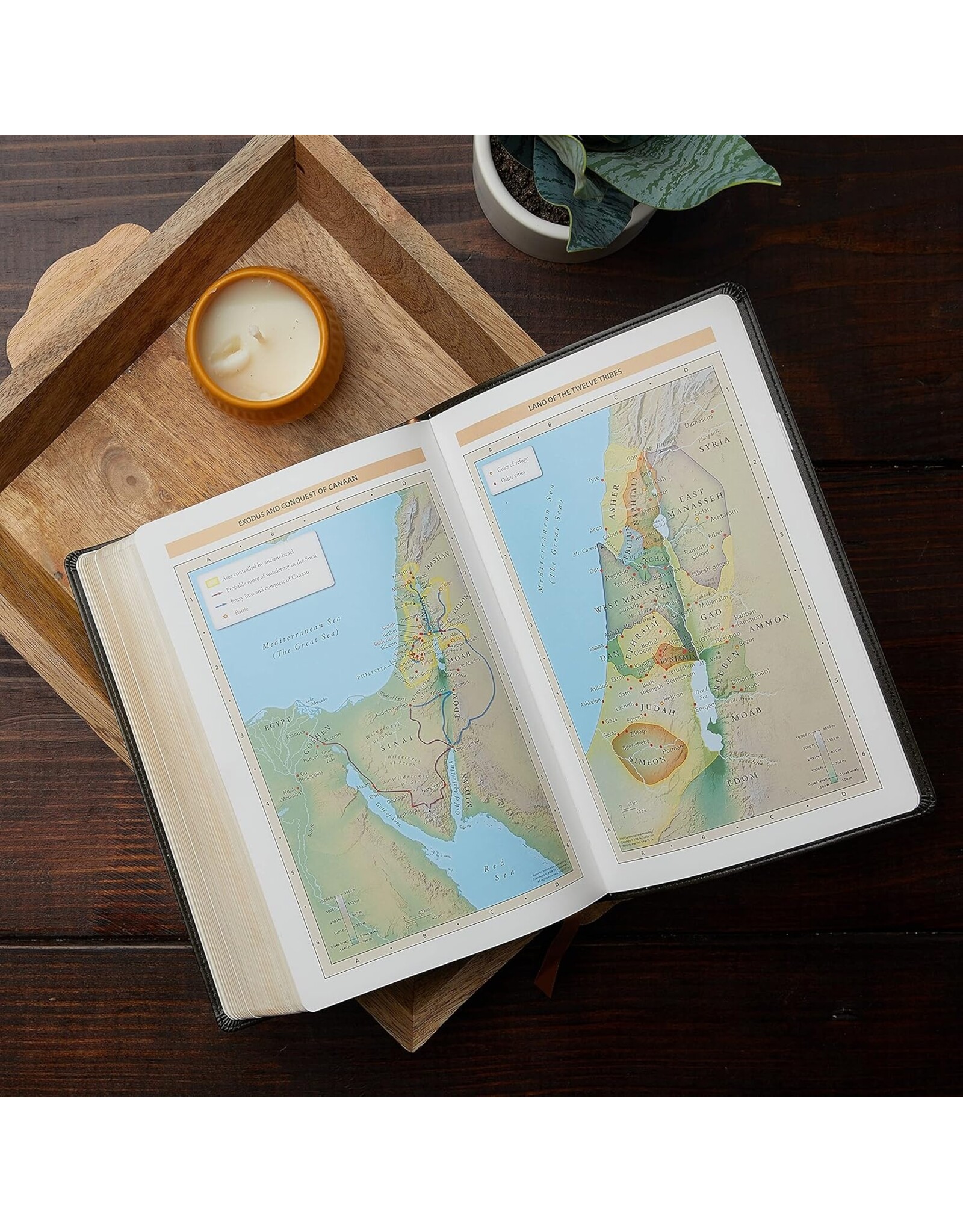 Catholic Bible Press NABRE Large-Print Catholic Bible, Leather-Look Brown