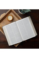 Catholic Bible Press NABRE Large-Print Catholic Bible, Leather-Look Brown