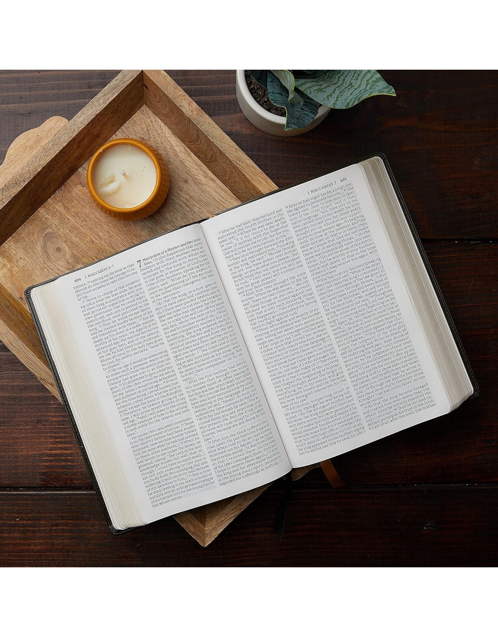 Catholic Bible Press NABRE Large-Print Catholic Bible, Leather-Look Brown