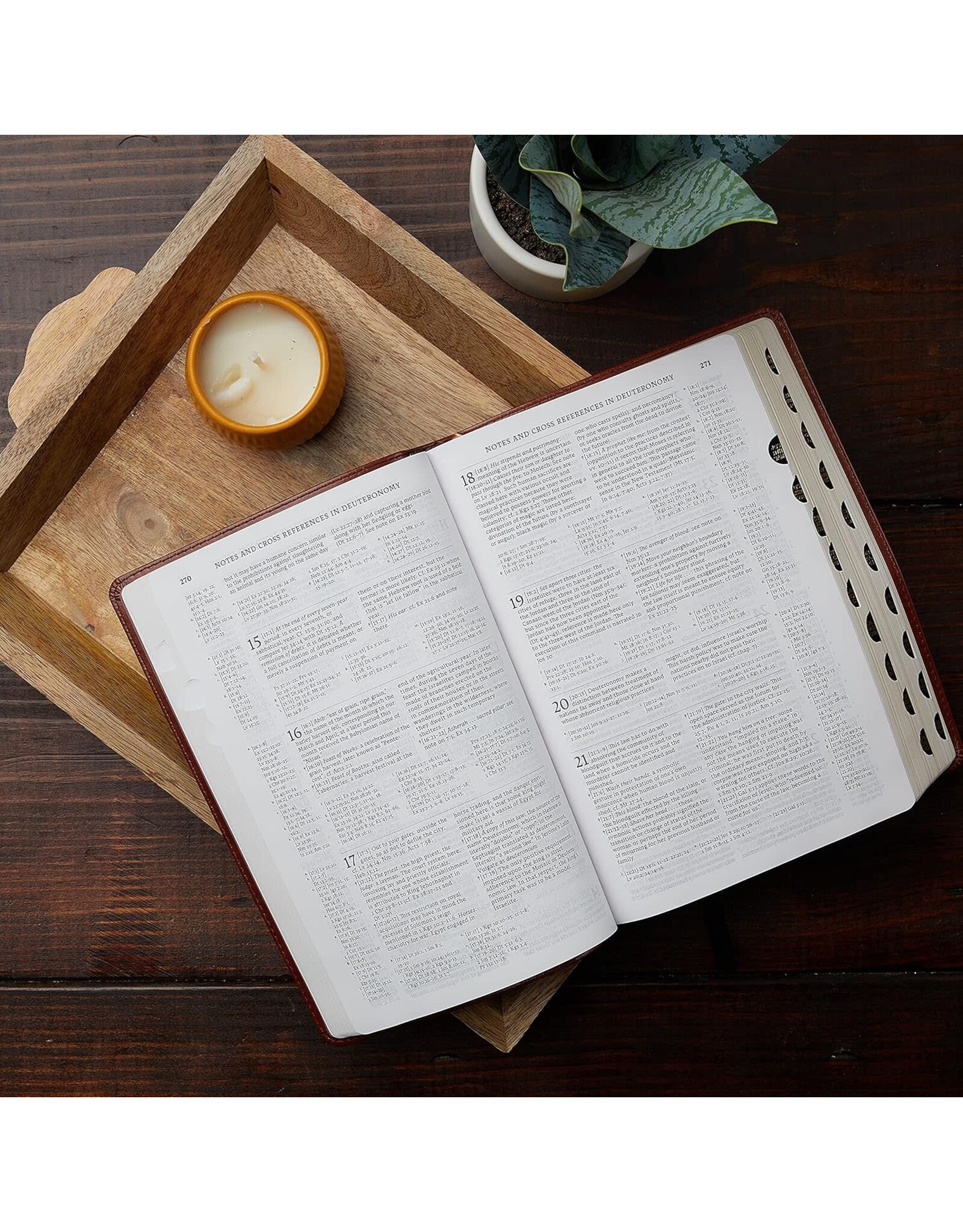 Catholic Bible Press NABRE Large-Print Catholic Bible, Leather-Look Black, Thumb Indexed