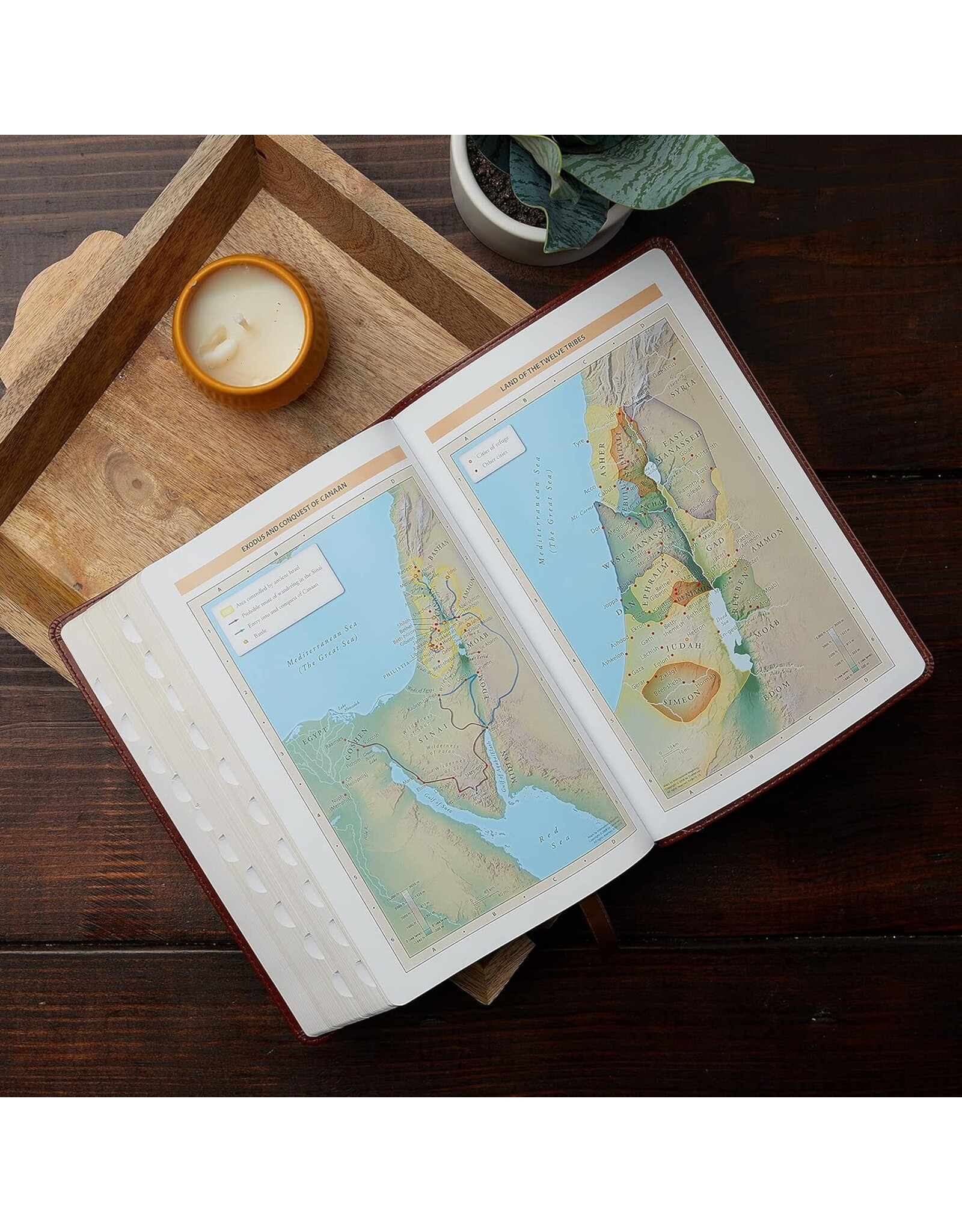 Catholic Bible Press NABRE Large-Print Catholic Bible, Leather-Look Black, Thumb Indexed