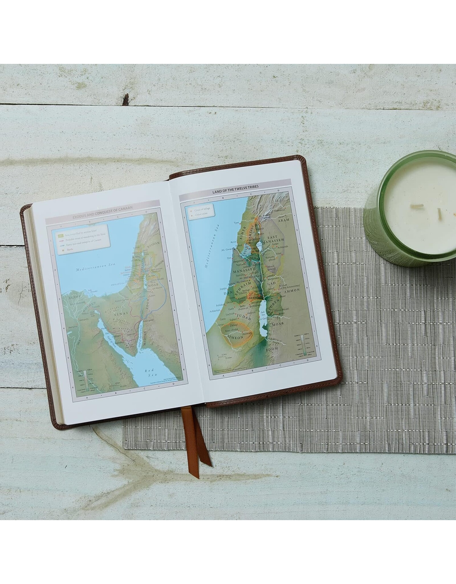 Catholic Bible Press NRSV Catholic Bible, Leathersoft Brown