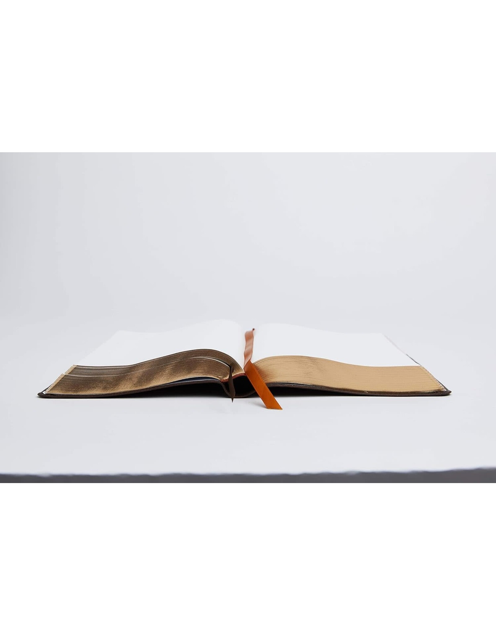 Catholic Bible Press NRSV Catholic Bible, Journal Edition, Leathersoft Brown