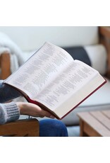 Catholic Bible Press NRSV Large-Print Catholic Bible, Leathersoft Brown