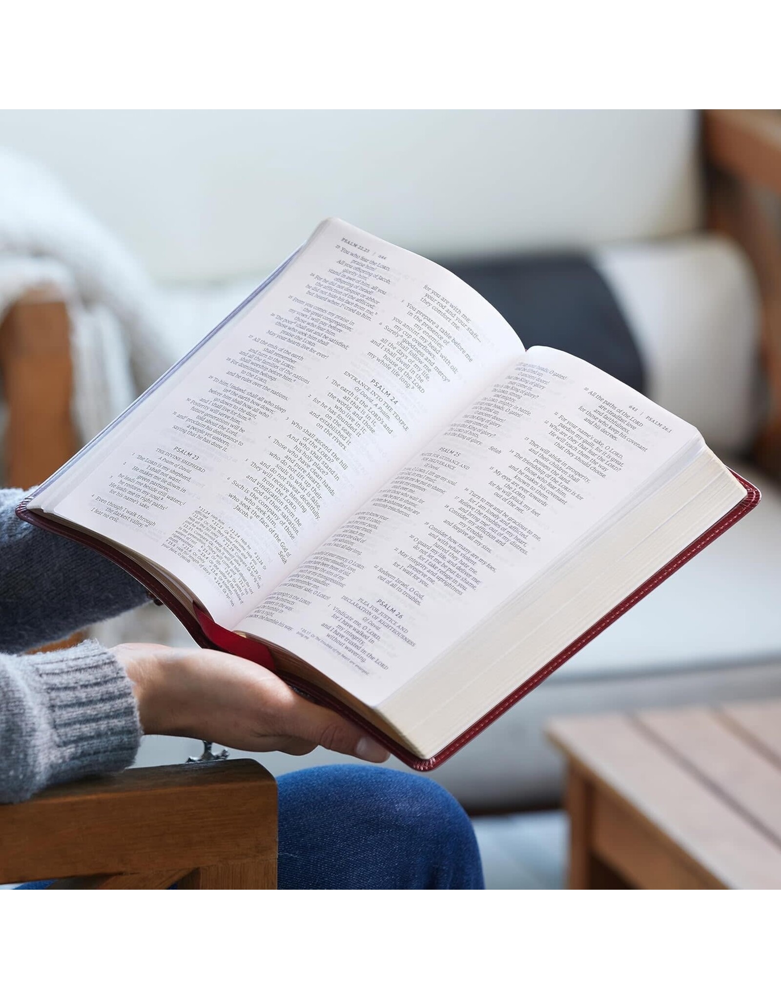 Catholic Bible Press NRSV Large-Print Catholic Bible, Leathersoft Brown