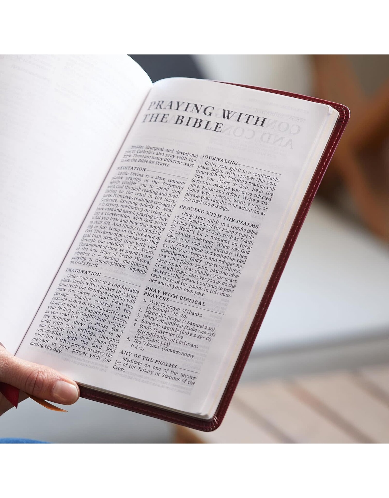 Catholic Bible Press NRSV Large-Print Catholic Bible, Leathersoft Brown