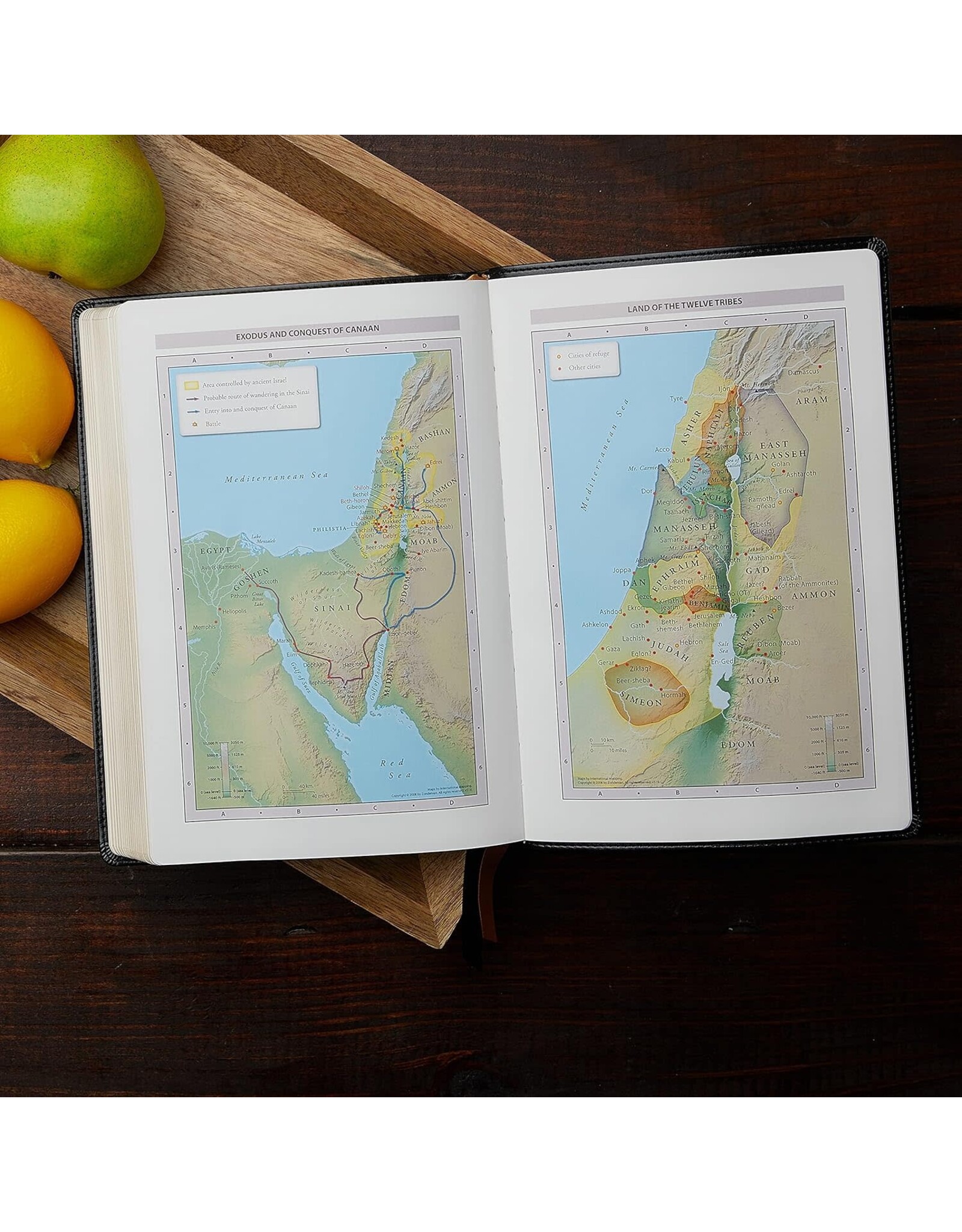 Catholic Bible Press NRSV Catholic Bible, Thinline, Leathersoft Black