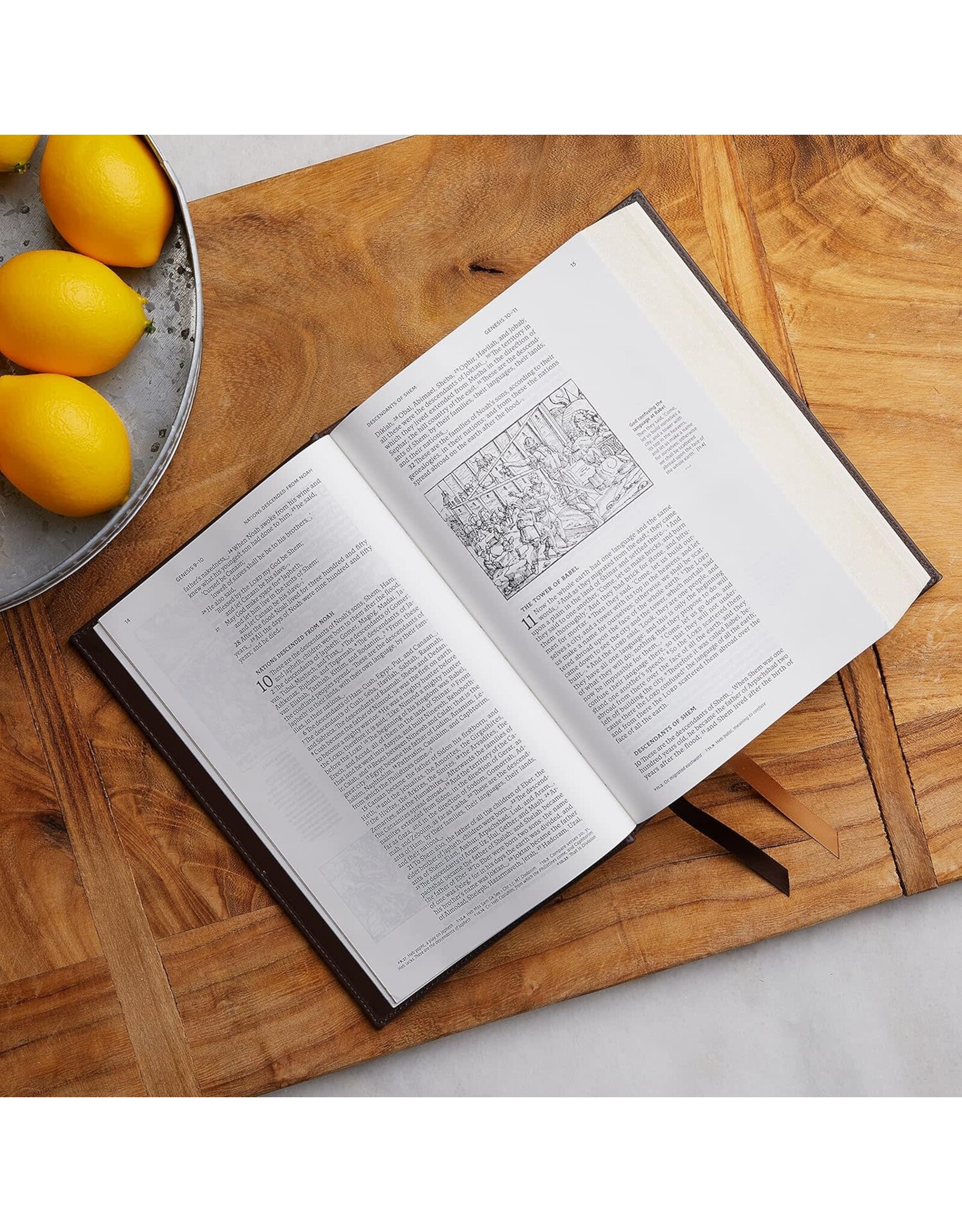 Catholic Bible Press NRSV Catholic Bible, Illustrated, Leathersoft Black